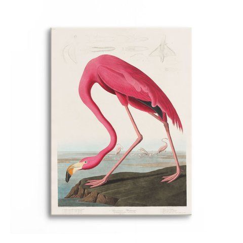 Картина Pink Flamingo 3х4 (40х30) см an011_pink_flamingo_standard 3x4_40x30 фото