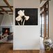 Картина Cream Iris 4х3 (40x30) см fl005_cream_iris_standard 4x3_40x30 фото 3