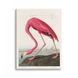 Картина Pink Flamingo 3х4 (40х30) см an011_pink_flamingo_standard 3x4_40x30 фото 1