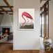 Картина Pink Flamingo 3х4 (40х30) см an011_pink_flamingo_standard 3x4_40x30 фото 3
